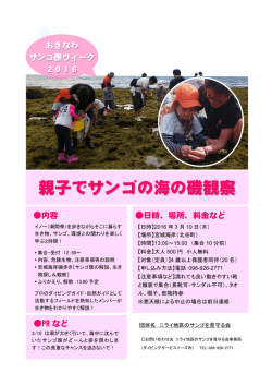 親子でサンゴの海の磯観察
