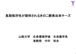 当日資料PDF