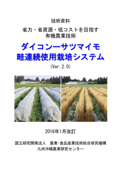 ダイコンーサツマイモ 畦連続使用栽培システム