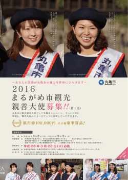 募集要項・応募用紙（PDF）