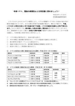冬春トマト、雪後の病害防止と生育回復に努めましょう！