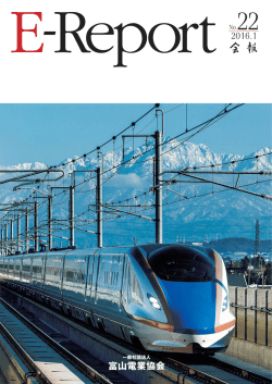 E-Report