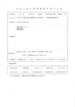 平成27年度社会資本整備総合交付金事業 一ノ瀬橋橋梁修繕工事