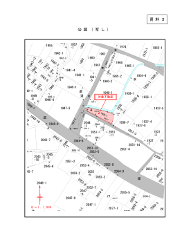 公 図 （ 写 し ） 資 料 3
