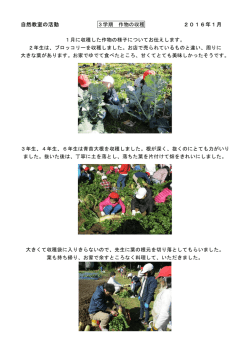 自然教室の活動 2016年1月