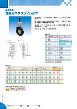 プラント 埋設用バタフライバルブ