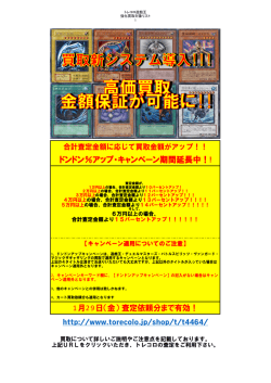 【日本語版】（PDFファイル）