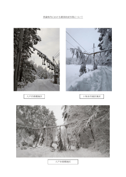 青森県、岩手県内における被害状況写真（PDF/510KB）