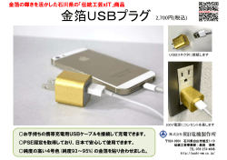 金箔USBプラグ 2 700円(税込) 金箔USBプラグ 2,700円(税込)