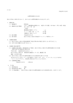 両面式