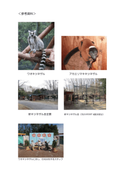 参考写真（PDF：89KB）