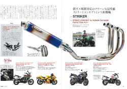 PDF 939KB - STRIKER