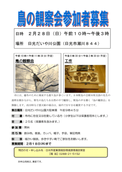 鳥の観察会チラシ（PDF：190KB）