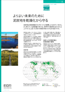 ファクトシート 8 - Wetlands International Japan