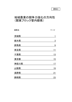 資料3（PDF：1007KB）