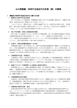 計画（案）概要 （PDF : 261KB）