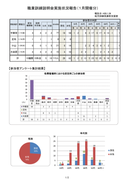 実施状況報告書