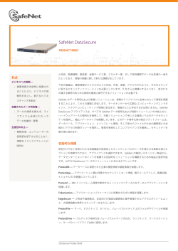 SafeNet DataSecure - ITソリューションのTIS Direct Web