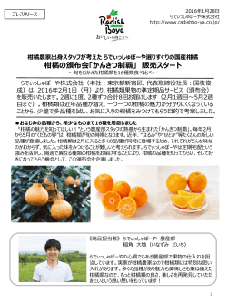 柑橘の頒布会「かんきつ制覇」 販売スタート