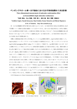 ベンゼンジチオール単一分子接合における分子形状効果の 3 次元計測