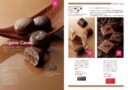 ロ_-_国立 国 ガーナの森を育てるチョコレート 円 圧 ヽノ 国 2007年から