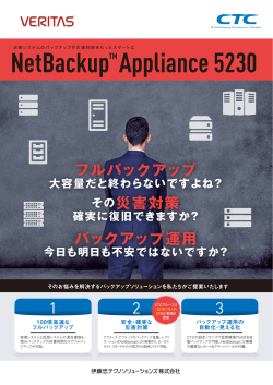 NetBackup Appliance 5230