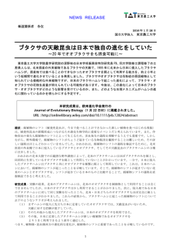 ブタクサの天敵昆虫は日本で独自の進化をしていた