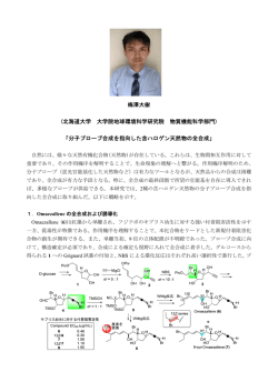 梅澤大樹 (北海道大学 大学院地球環境科学研究院 物質機能科学