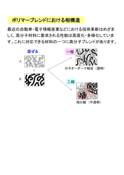 ポリマーブレンドにおける相構造