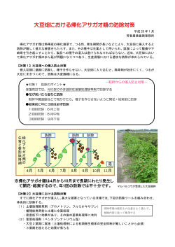 大豆畑における帰化アサガオ類の防除対策（PDF：464KB）