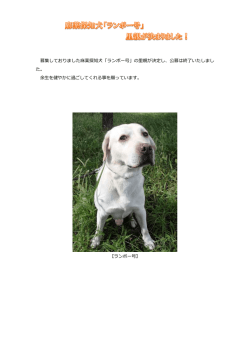 募集しておりました麻薬探知犬「ランボー号」の里親が決定し、公募は終了