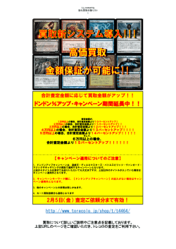 マジックザギャザリング（PDFファイル）