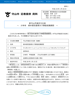 資料2概要（PDF：395KB）