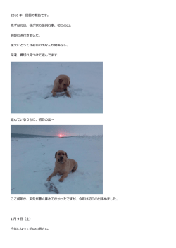 レイアウト全文はこちら