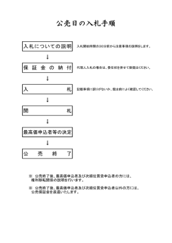公売日の入札手順（PDF：30KB）