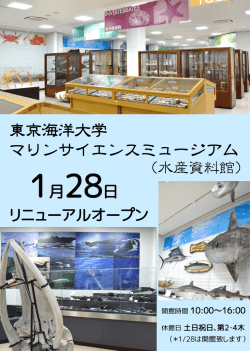 東京海洋大学マリンサイエンスミュージアム