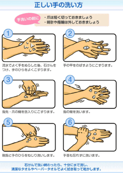 正しい手の洗い方(PDF文書)