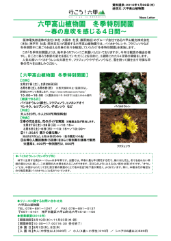六甲高山植物園 冬季特別開園