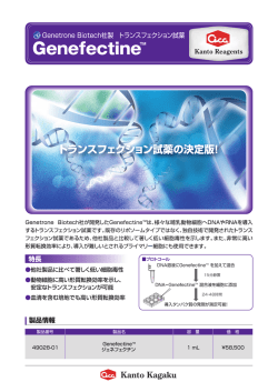 次のリンクは新しいウィンドウを開きますリーフレット Genefectine TM
