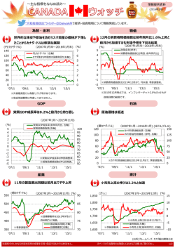 物価 為替・  利 油 GDP 家計 産業