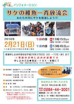 H27 サケの稚魚放流チラシ