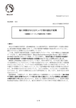 脳に栄養を与えるタンパク質の遺伝子変異