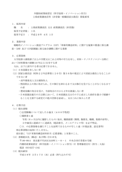 内閣府政策統括官（科学技術・イノベーション担当） 上席政策調査員等