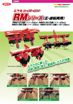 （正・逆転両用）
