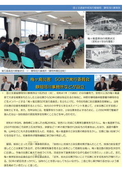 梅ヶ島災害 50年で実行委員会 静岡河川事務所などが設立 梅ヶ島災害