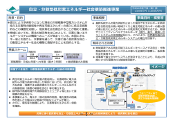自立・分散型低炭素エネルギー社会構築推進事業