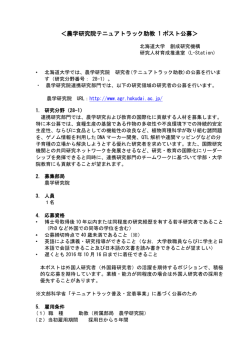 公募要領28-1 - テニュアトラック普及・定着事業推進室