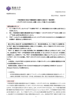 プレスリリース