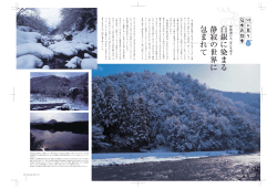 琵琶湖から「冬」を追う