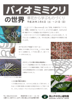 冬季企画展「バイオミミクリの世界～草花から学ぶものづくり」